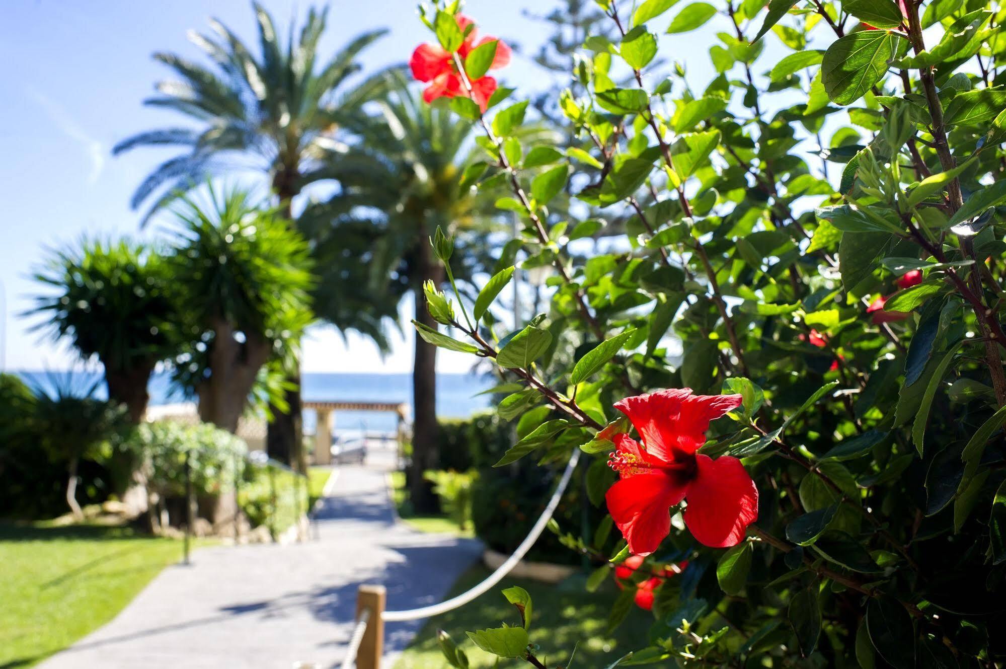 Hôtel Globales Gardenia à Fuengirola Extérieur photo